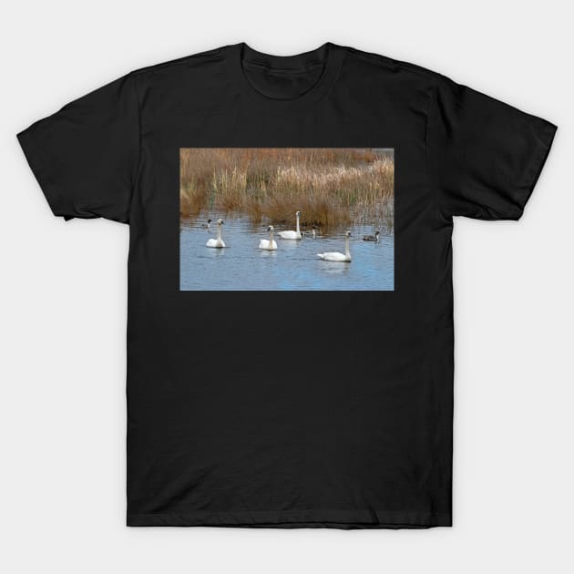 Tundra Swans T-Shirt by EileenMcVey